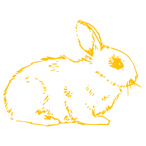 hand-drawn yellow bunny on transparent background clipart - Download Free Stock Videos Pikwizard.com