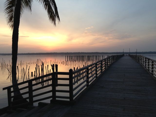 Calm evening scene with a beautiful sunset over a lake, showcasing a wooden pier extending into the water and a lone palm tree. Ideal for travel advertisements, relaxation themes, nature blogs, or mindfulness and meditation visuals.