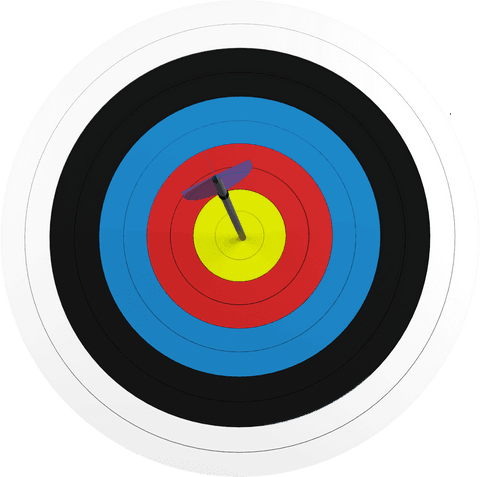 arrow hitting bullseye on archery target with transparent background - Download Free Stock Videos Pikwizard.com