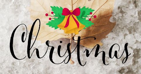 Artistic Christmas Greeting with Leaf on Snow