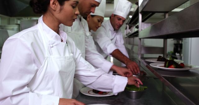 Professional Chefs Preparing Gourmet Meals in Restaurant Kitchen - Download Free Stock Images Pikwizard.com