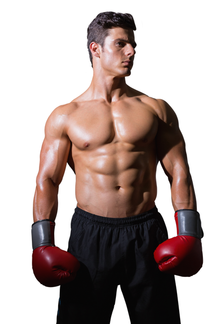 Happy Caucasian Boxer Standing with Boxing Gloves on Transparent Background - Download Free Stock Videos Pikwizard.com