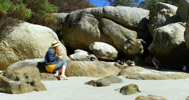 Woman Sitting on Beach Observing Penguins among Rocks - Download Free Stock Images Pikwizard.com