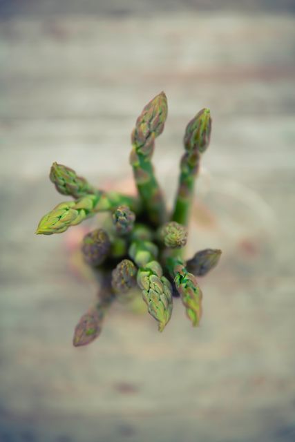 Green asparagus bunch viewed from above, showing fresh, organic shoots with detailed texture. Great for use in healthy living blogs, organic food advertisements, vegetable market promotions, and cooking magazines.