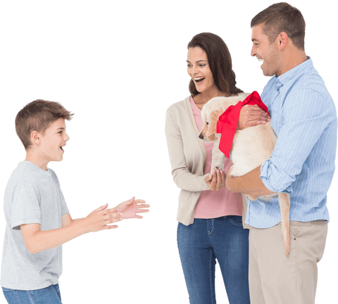 family gifting puppy with red bow to son transparent background - Download Free Stock Videos Pikwizard.com