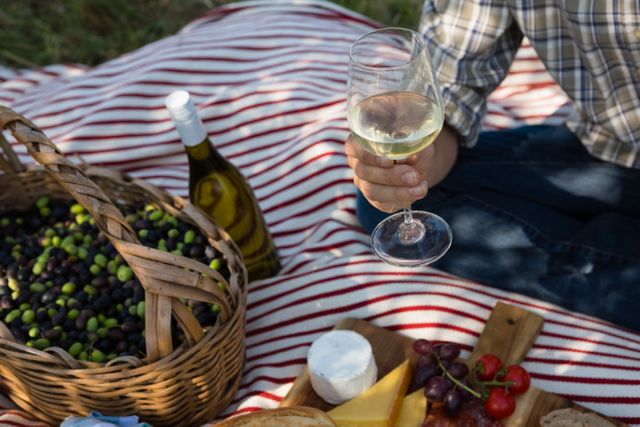 Mid-section of man sitting with a glass of wine on picnic blanket in farm