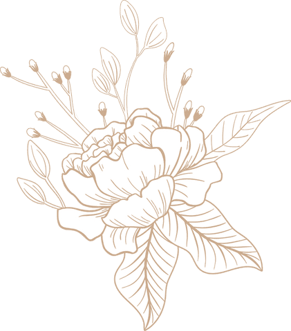 vintage floral line art with transparent background - Download Free Stock Videos Pikwizard.com