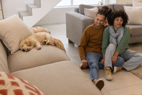 Couple sitting on floor with sleeping puppy on sofa in cozy modern living room