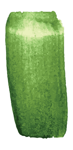 green smudge brushstroke with copy space on transparent background vector art - Download Free Stock Videos Pikwizard.com