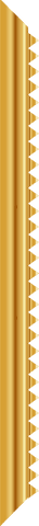 elegant gold ribbon with zigzag edging on transparent background - Download Free Stock Videos Pikwizard.com