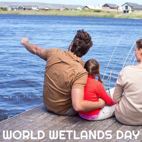 Family Relaxation by Wetlands Water Celebrating Conservation