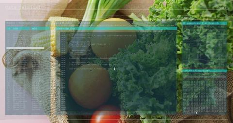 Inventory Terminal Overlaying Fresh Produce with Login Prompt and Code Interface