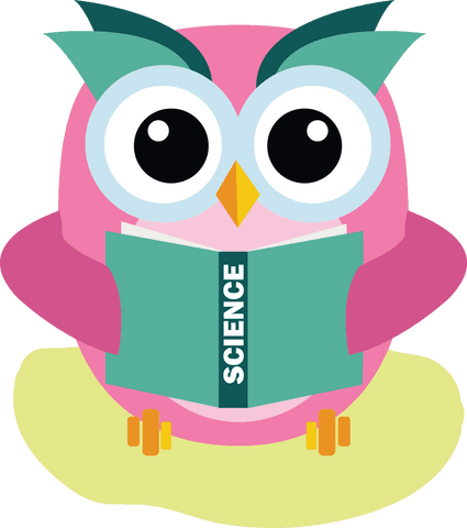 colorful owl reading science book on transparent background - Download Free Stock Videos Pikwizard.com