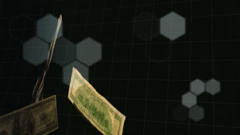 Dynamic Animation of Currency and Financial Data in Motion