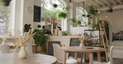 Sunlit minimalist cafe interior with round wooden tables, potted plants and rustic decor