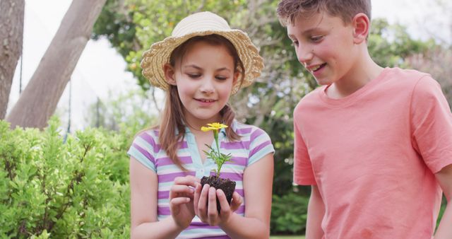 Children gardening together planting small flowers - Download Free Stock Images Pikwizard.com