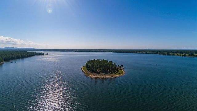 Shimmering sunlight path across tranquil lake to pine-covered islet with sandy shoreline