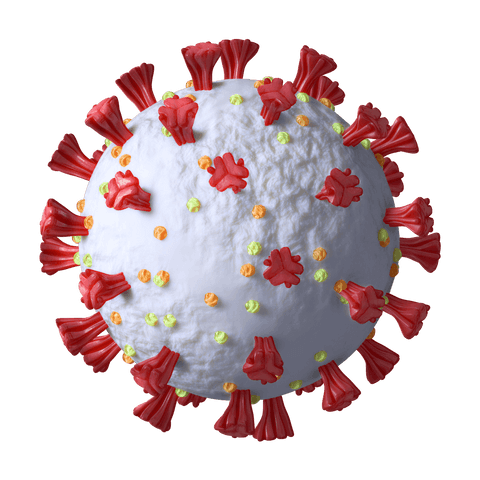 Transparent Coronavirus Illustration Pandemic Concept - Download Free Stock Videos Pikwizard.com