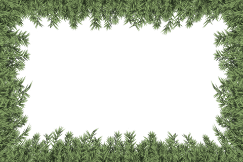 christmas wreath border on transparent background holiday frame - Download Free Stock Videos Pikwizard.com