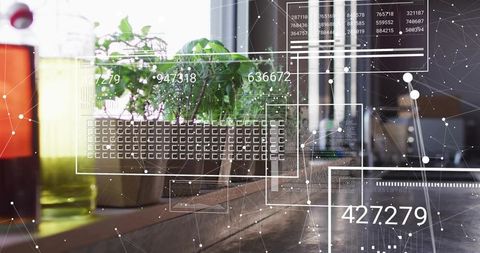 Sunlit potted plant on wooden desk displaying augmented reality interface overlay