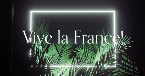 Tropical neon frame with vive la france text