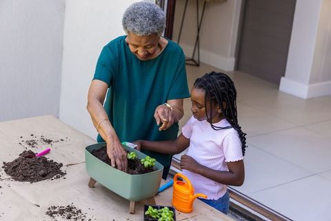 African grandmother teaching granddaughter gardening: planting seedlings on sunny patio