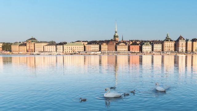 Charming cityscape of Stockholm with historical buildings along the waterfront. Calm blue water reflects the architecture while swans swim peacefully. Great for themes related to travel, tourism, Swedish culture, urban landscapes, nature versus city juxtaposition.