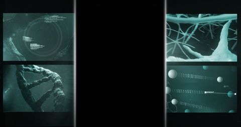 Medical Data Analysis Screens with Digital Graphics