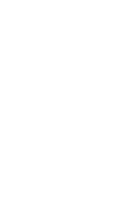 Happy Woman Celebrating Success in Transparent Silhouette Vector - Download Free Stock Videos Pikwizard.com