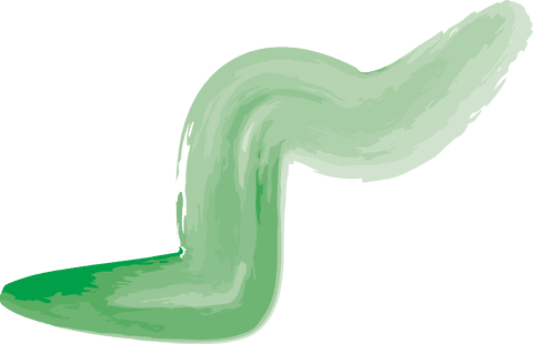 abstract green organic shape on transparent background - Download Free Stock Videos Pikwizard.com