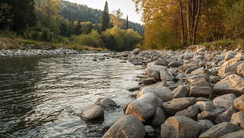 Golden autumn river curving past rocky shore with smooth boulders and forested hillside