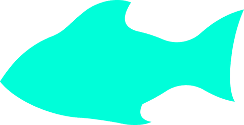 Turquoise fish silhouette on transparent background minimalist design