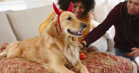 Golden Retriever Wearing Devil Horns While Couple Petting Dog on Cozy Living Room Couch