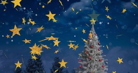 Frosted Fir Tree with Golden Stars in Starry Night Sky