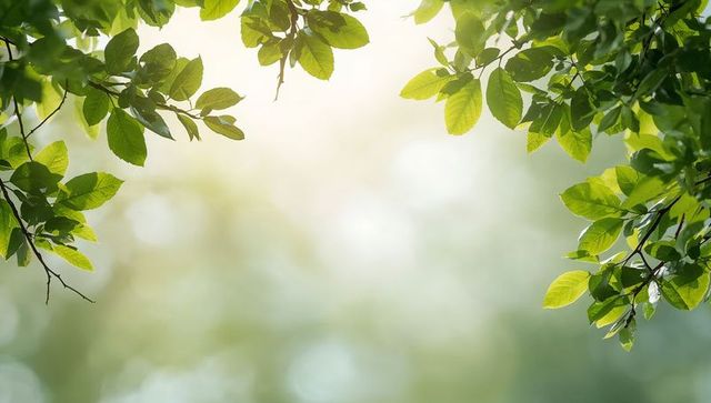 Sunlit green leaf canopy framing soft bokeh background for nature and wellness