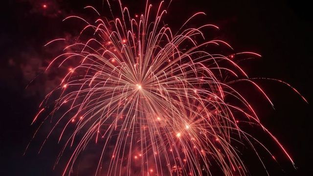 Vibrant Red Firework Burst in Night Sky Celebration