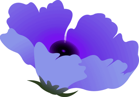 elegant purple flower on transparent background - Download Free Stock Videos Pikwizard.com