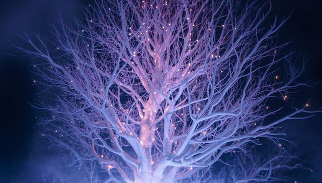 Enchanted Glowing Tree Illuminated at Night