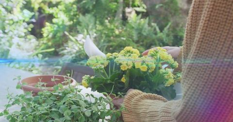 Woman tending yellow kalanchoe on sunlit patio table with mustard knit sweater