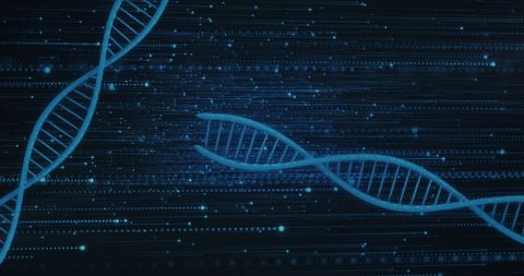 DNA Strands and Data Processing in Digital Background - Download Free Stock Images Pikwizard.com