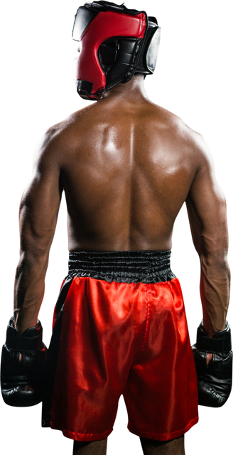 Rear View of Boxer in Red Gear with Transparent Background - Download Free Stock Videos Pikwizard.com