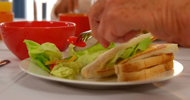 Close-up of Person Preparing Vegetable Sandwich for Breakfast - Download Free Stock Images Pikwizard.com