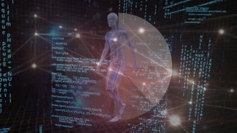 Digital Human Anatomy with Virtual Data Overlay