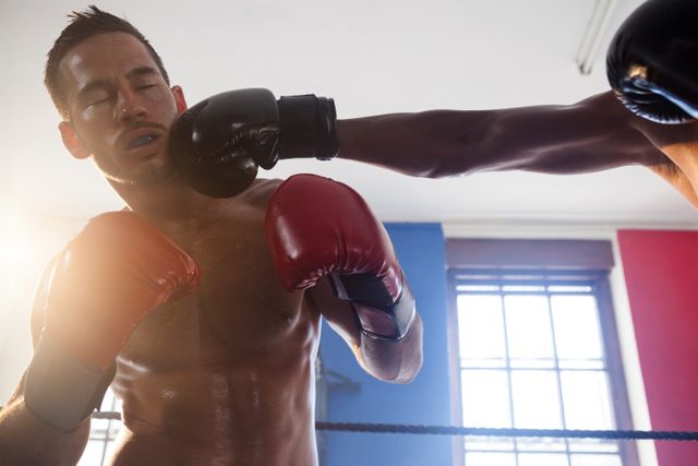 Two male boxers engaged in an intense sparring session in a fitness studio. One boxer is landing a punch on the other, showcasing the action and intensity of the sport. Ideal for use in articles or advertisements related to fitness, boxing training, sports competitions, or athletic training programs.