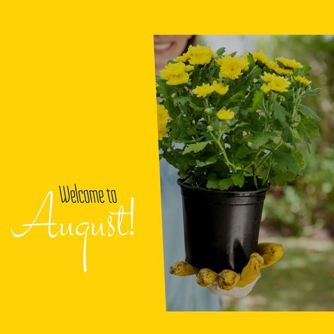welcome to august: woman holding potted flowers in summer farm - Download Free Stock Templates Pikwizard.com