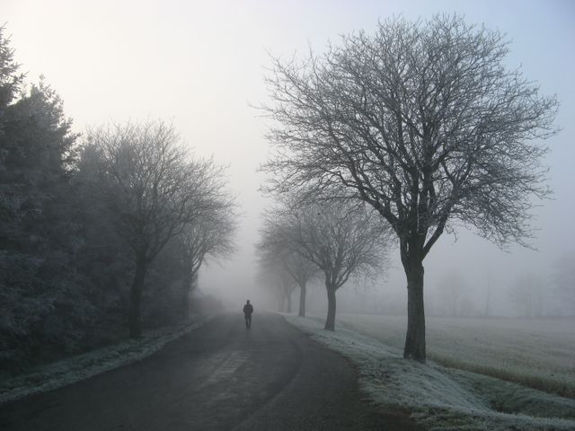 Person Walking on Misty Countryside Road in Winter - Download Free Stock Photos Pikwizard.com