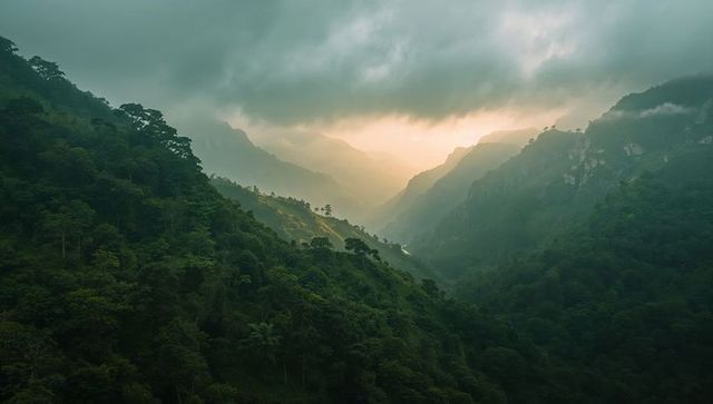 Scenic Forested Mountain Valley with Misty Clouds and Sunlit Vista