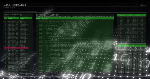 Digital Interface with Code and Data Encryption Panels