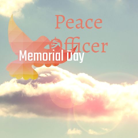 Peace officer memorial day dove in sunset sky