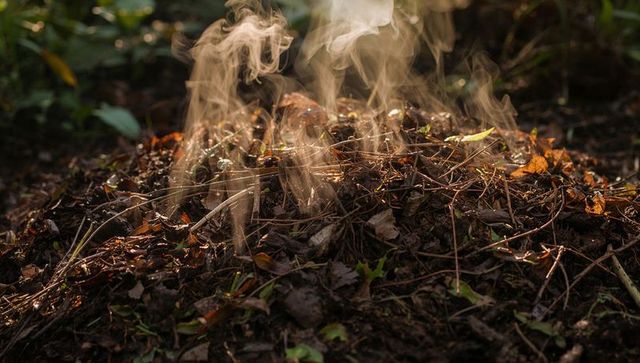 Steaming decaying leaf pile releasing wisps of smoke on sunlit forest floor
